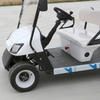 Low Price Good Quality Easy Electrical2 Seat Electric Golf Cart