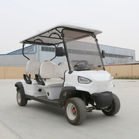 Low Price Good Quality Easy Electrical2 Seat Electric Golf Cart