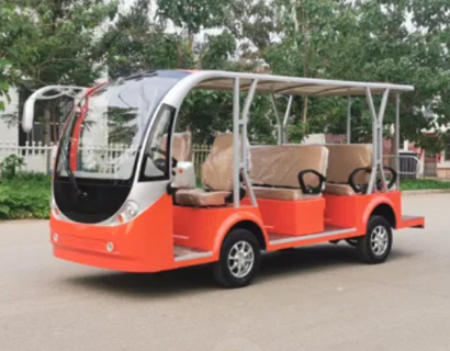 Sightseeing Bus & Car