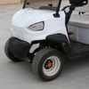 Low Price Good Quality Easy Electrical2 Seat Electric Golf Cart