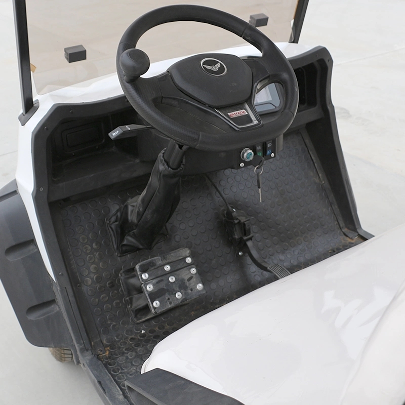 Low Price Good Quality Easy Electrical2 Seat Electric Golf Cart